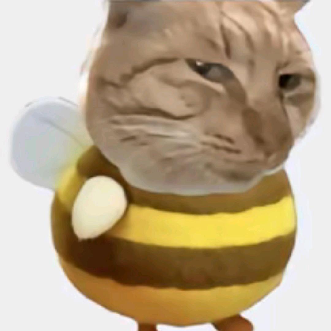 晓猫蜜
