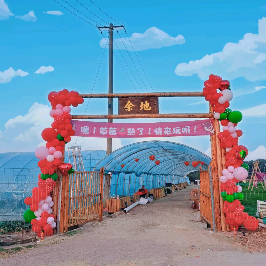 倪小倪(草莓，草莓苗)