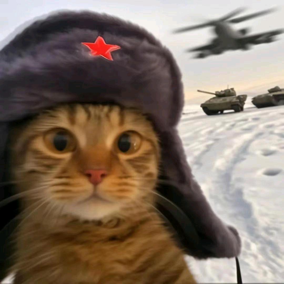 苏叁