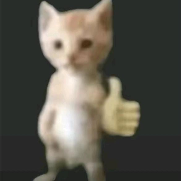 yo1o