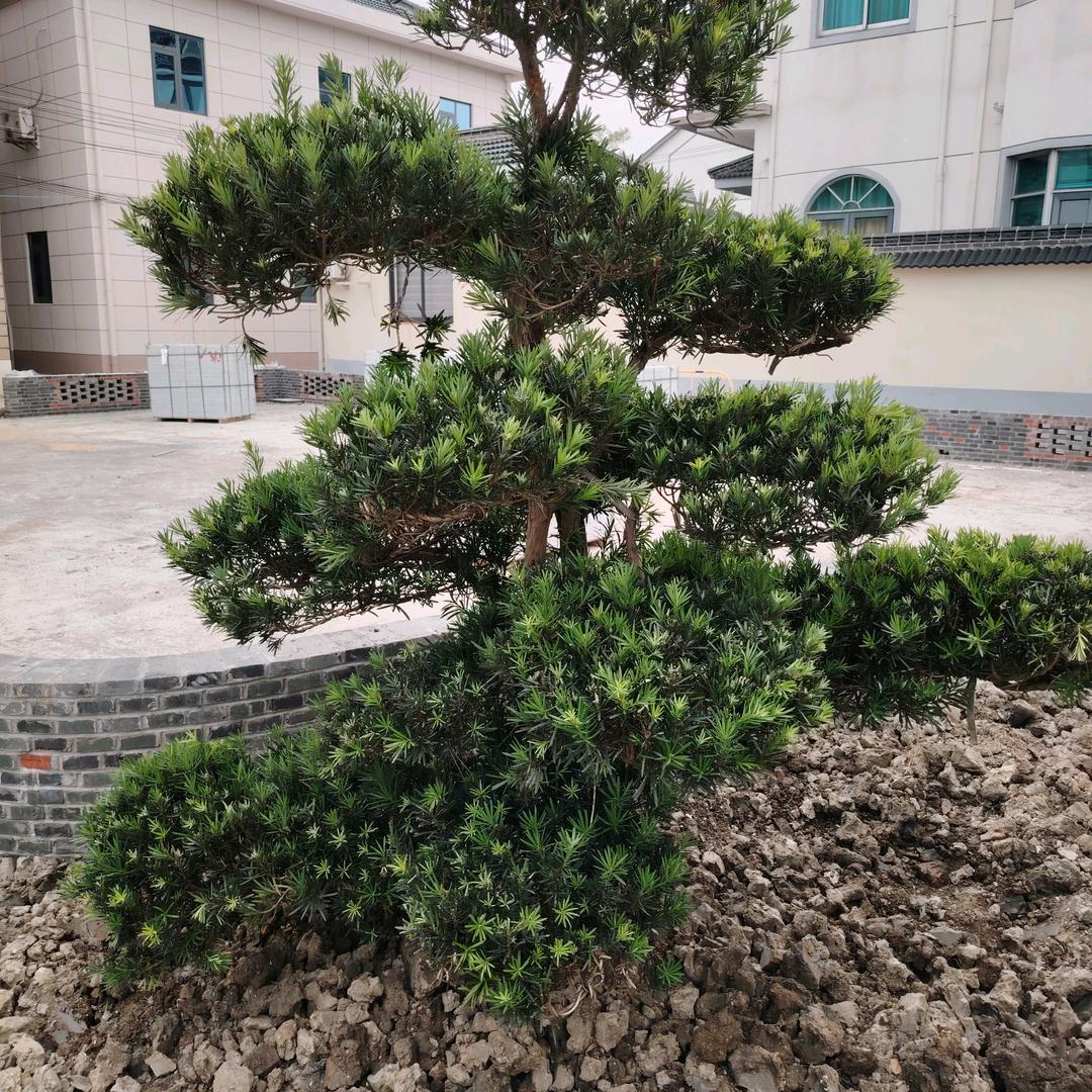 心里好累。