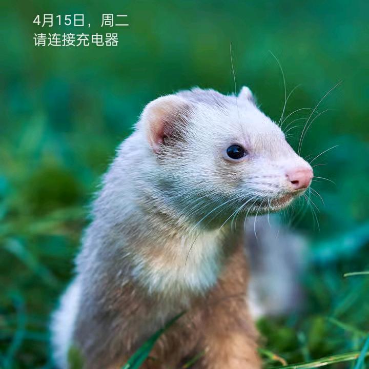 大头娃娃