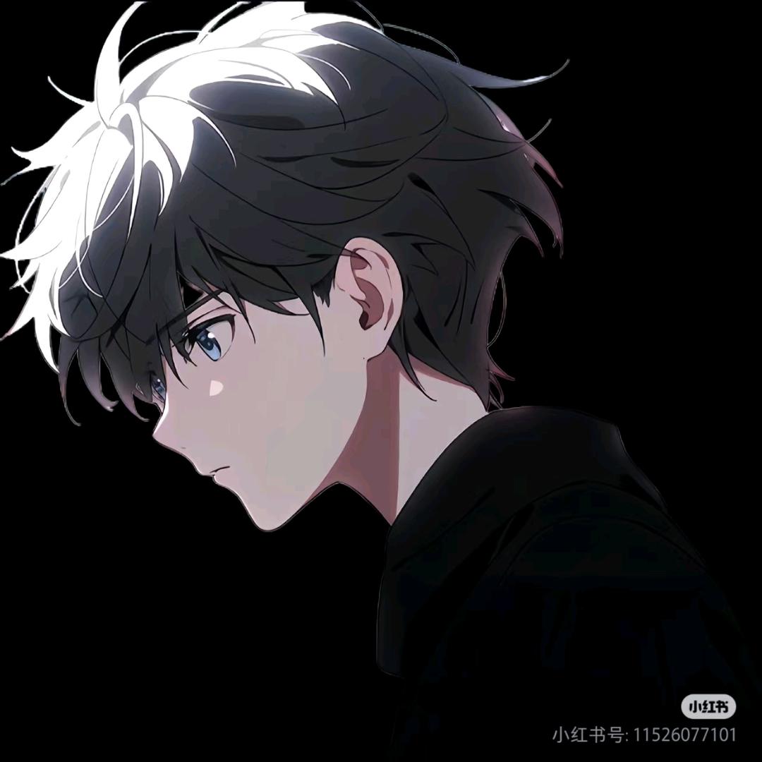 ✨✨流星🌱🌱🔥