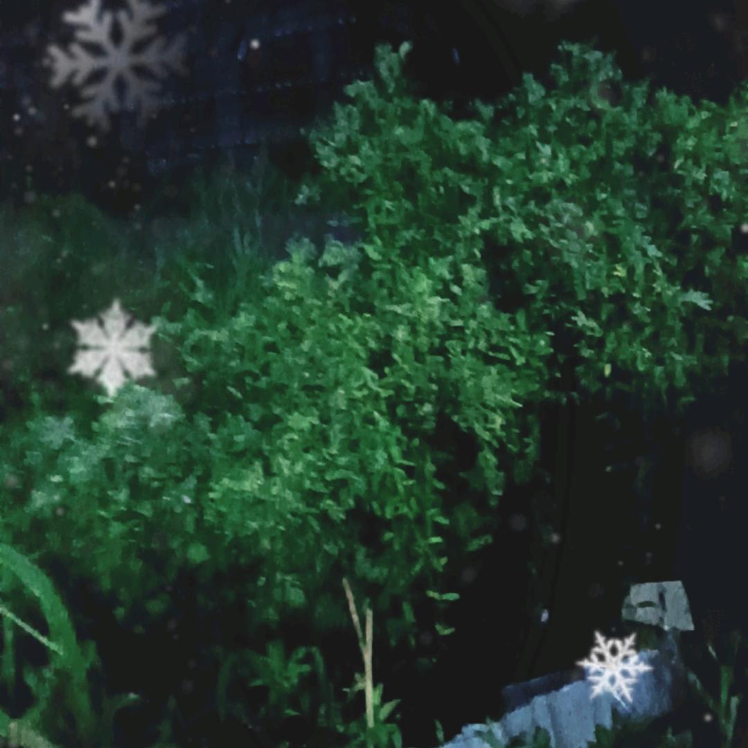 本分点，提裤子走人