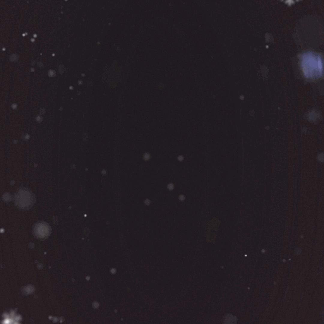 珍惜