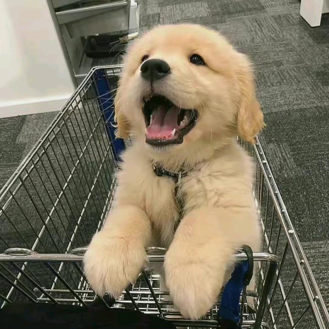 度