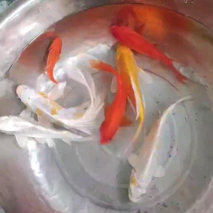 @罗阳麻辣烫