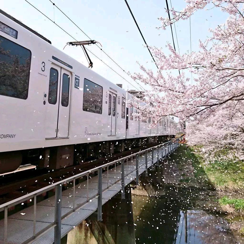 白日梦想家