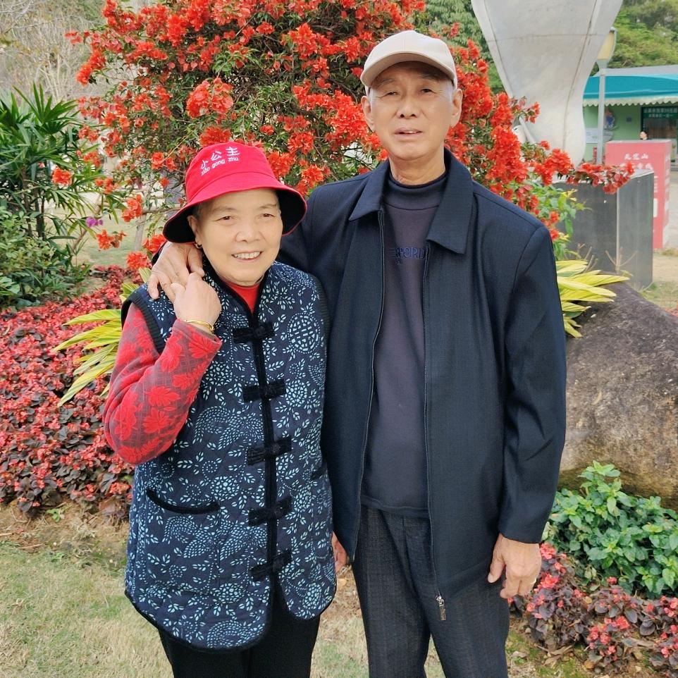龙