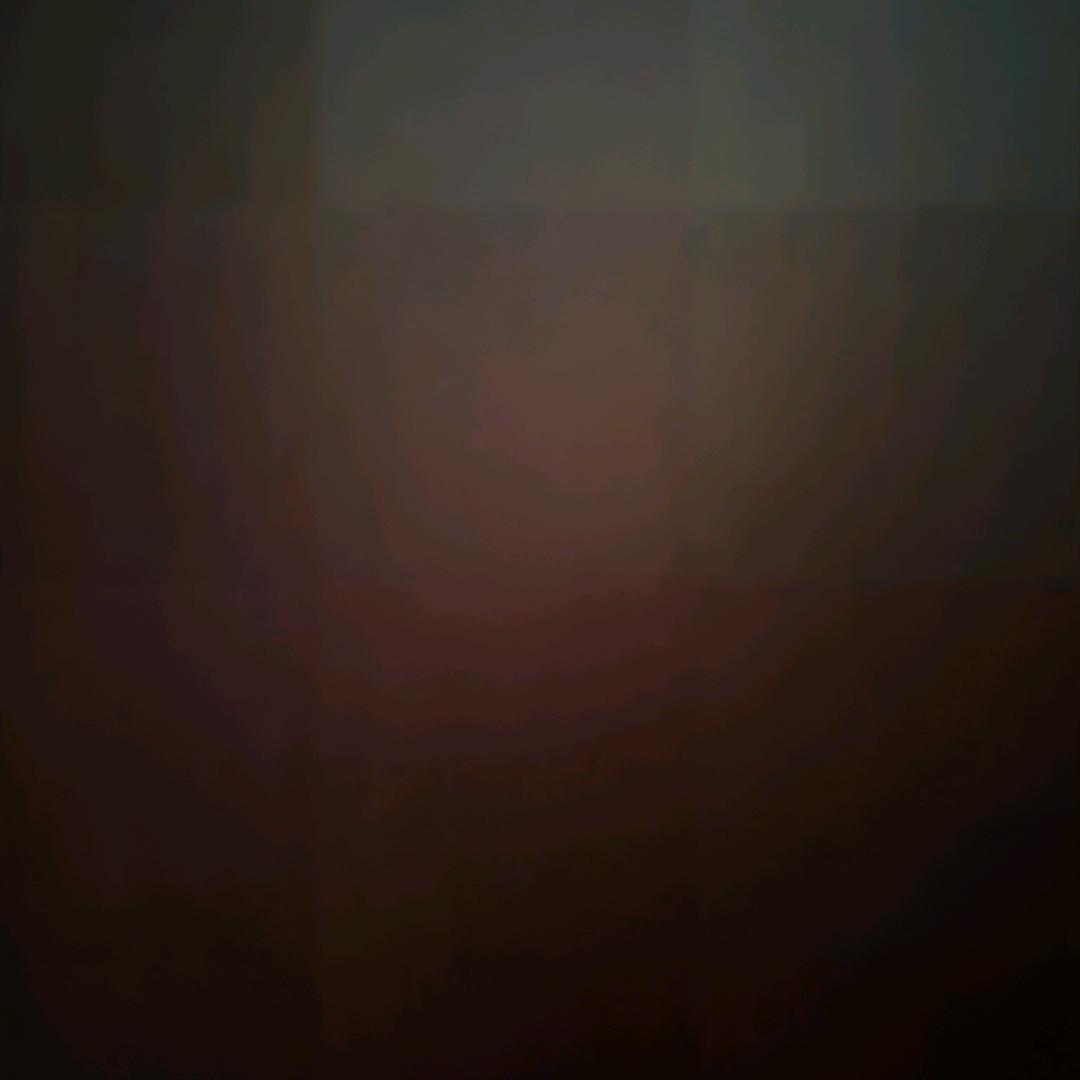菩提树下