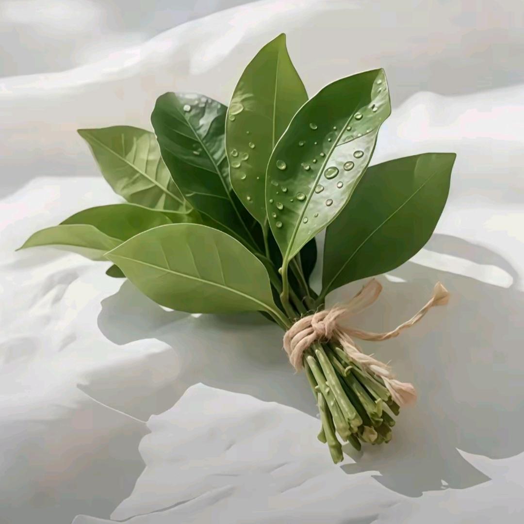 小狗不说话.