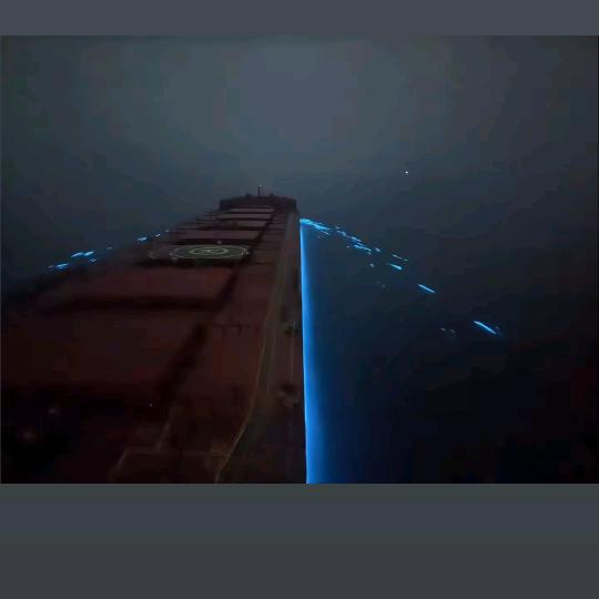 🚢 听风说海⚓️