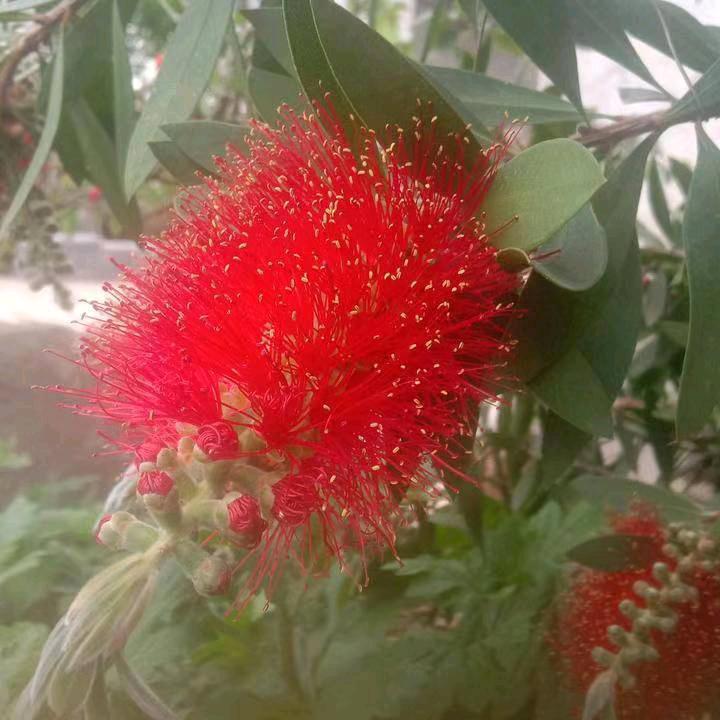 相信你会喜欢！