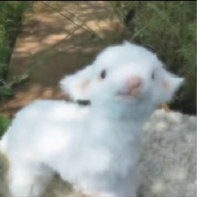 不行（爱睡觉版）