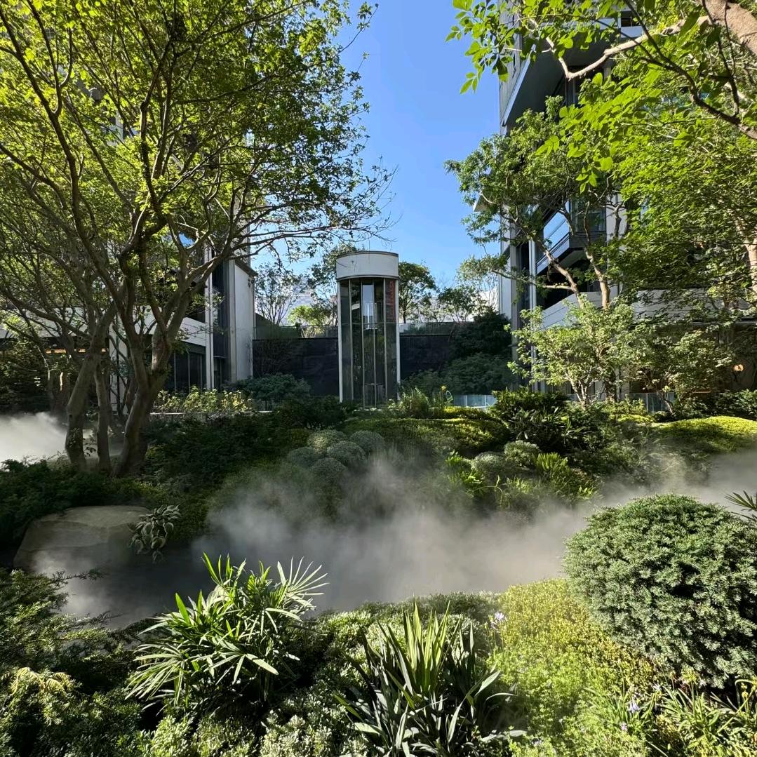 大连咪咪•嘎