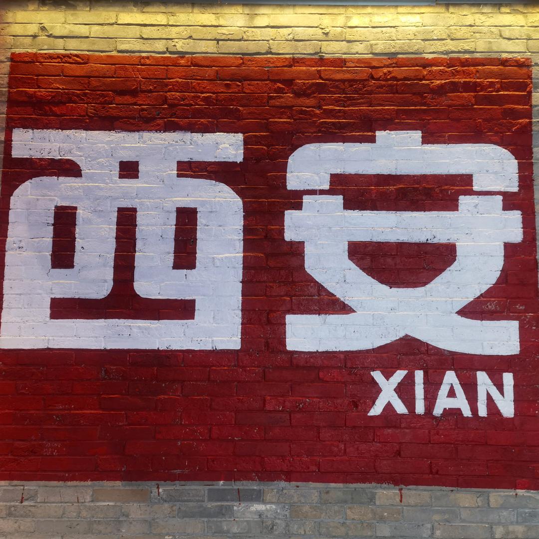 反哺青春