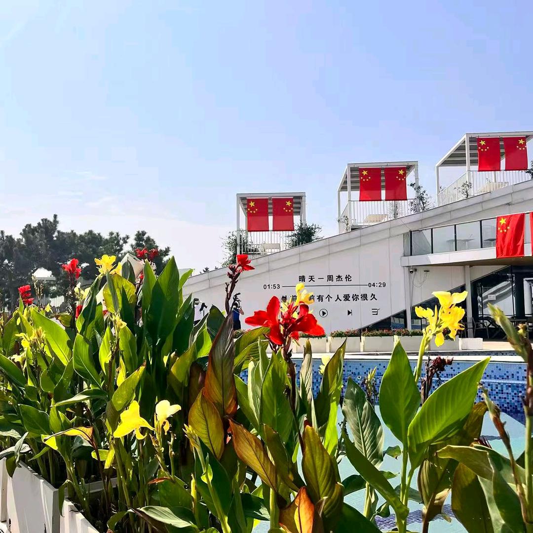 🐒¹⁰.₁₉张鱼小丸子