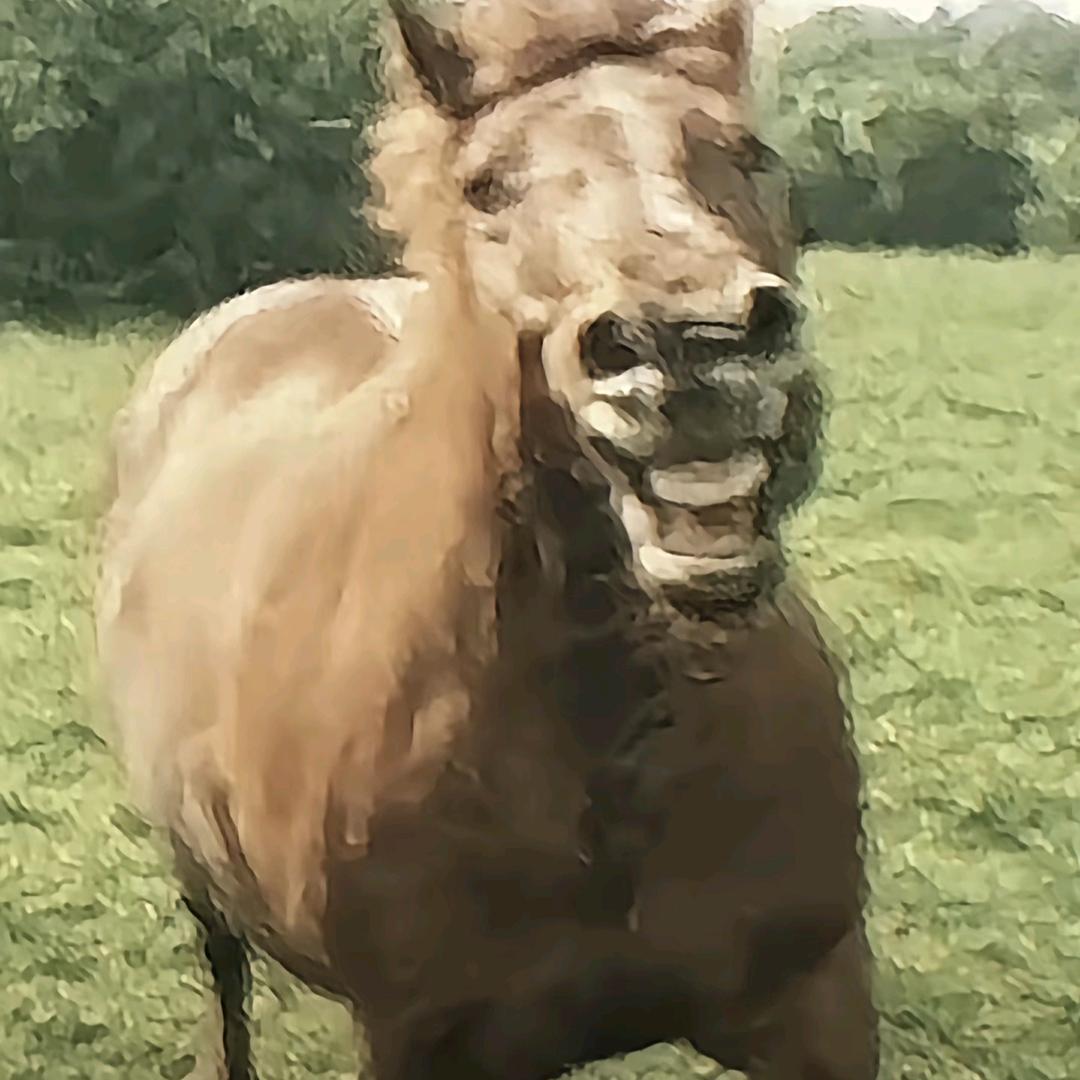 挖靠