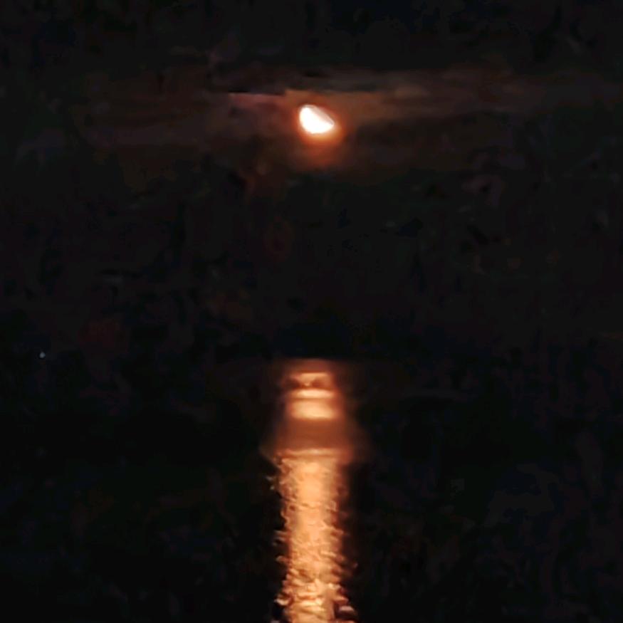 不思尽取居酒屋官方号