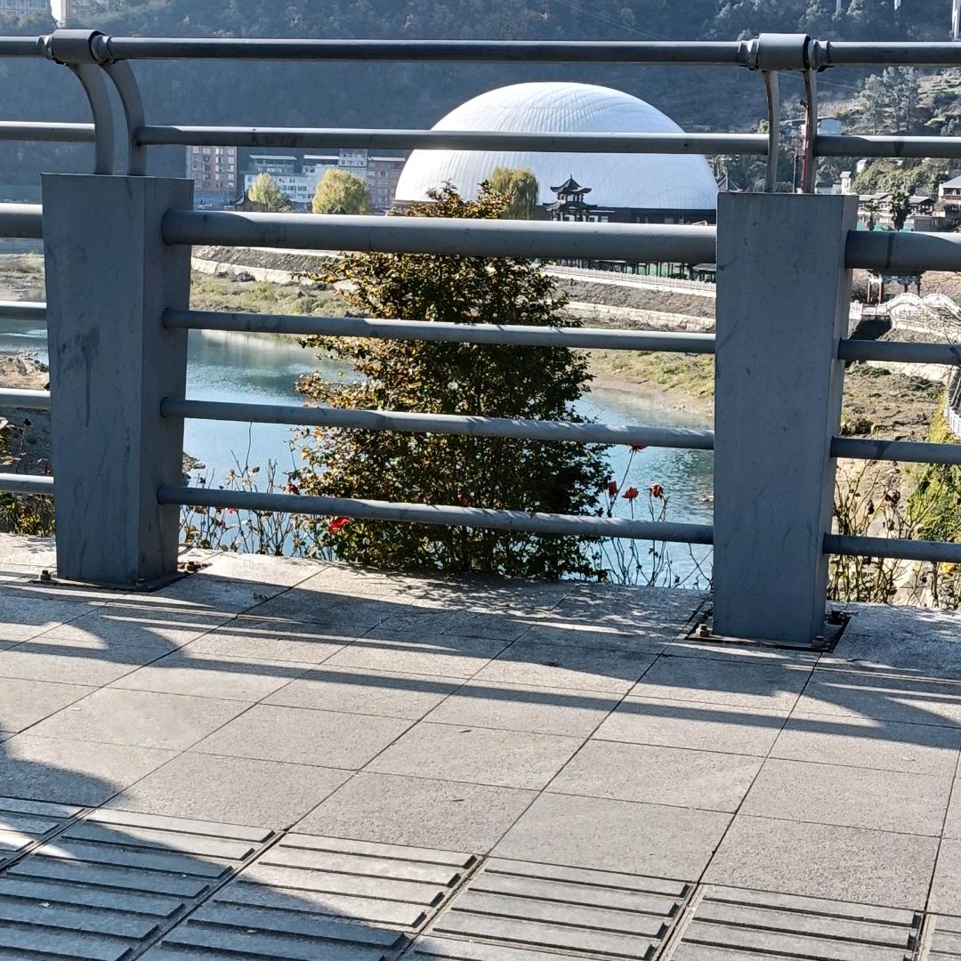 刘彩