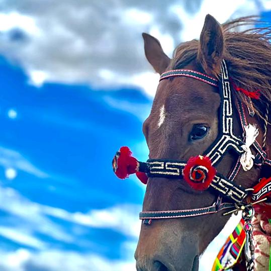 ༺༃ঌབྱང໒༃༻