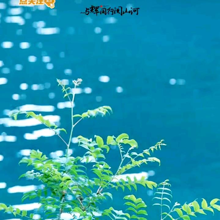 落日余晖🐳🐳🐳