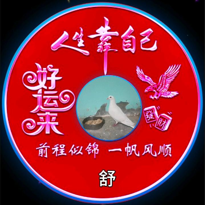 养鸽人