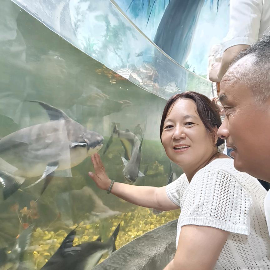 你是我唯一的挚着