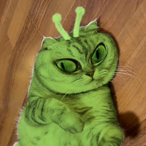 猫猫怪兽👾