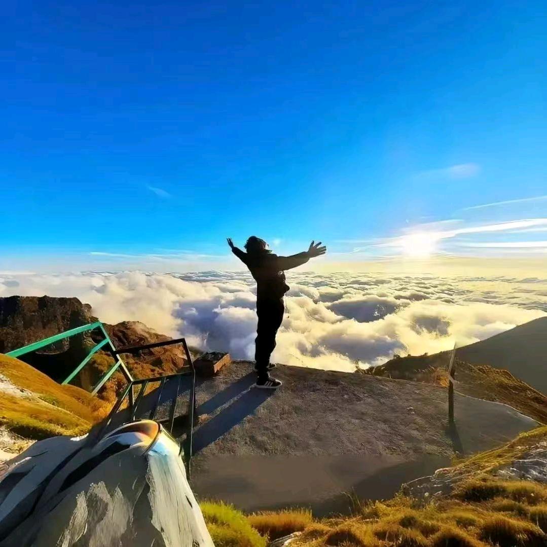 《风生水起》！