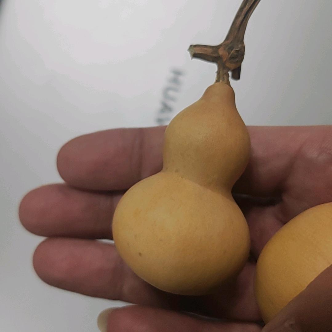 高中生服务中心