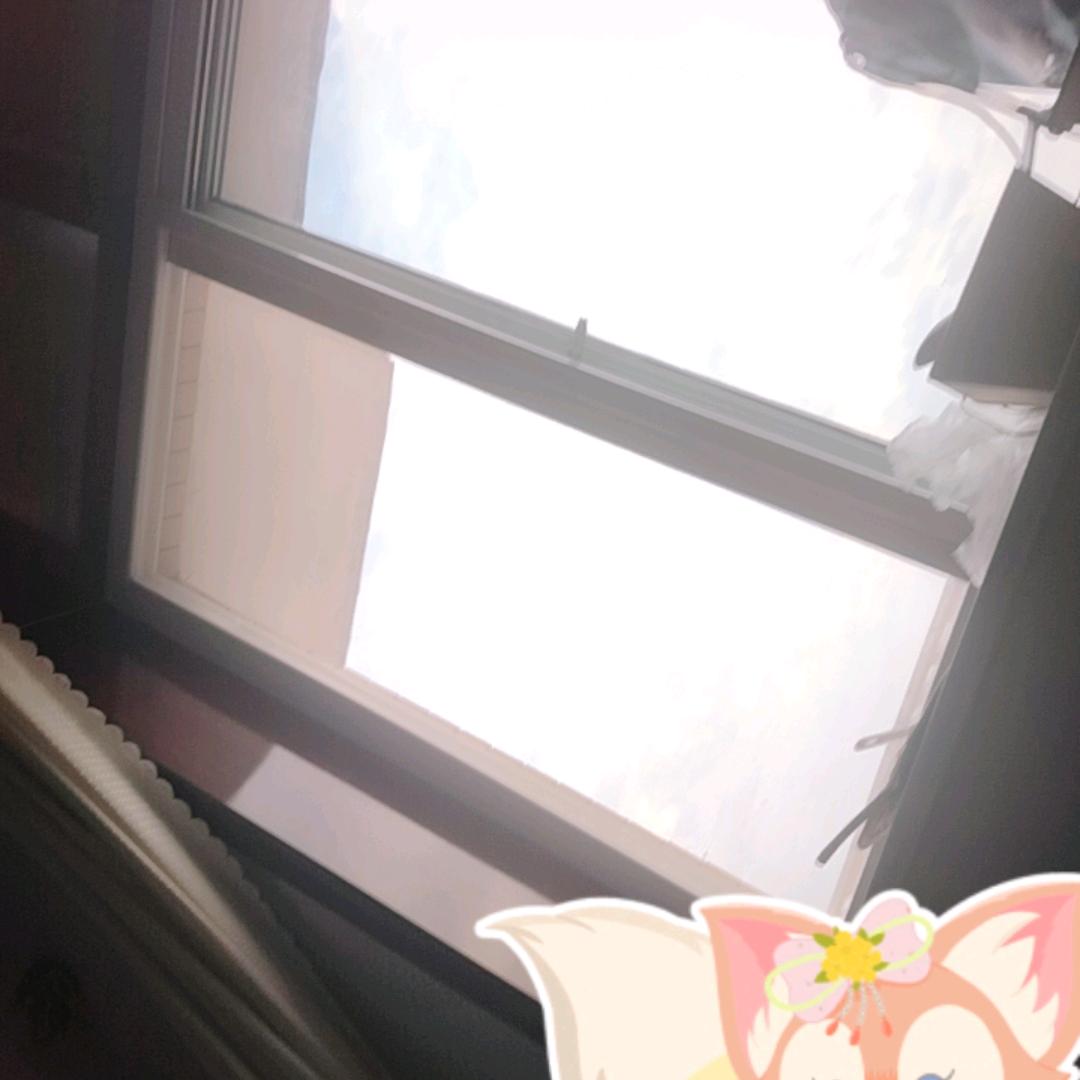 孤独的狼