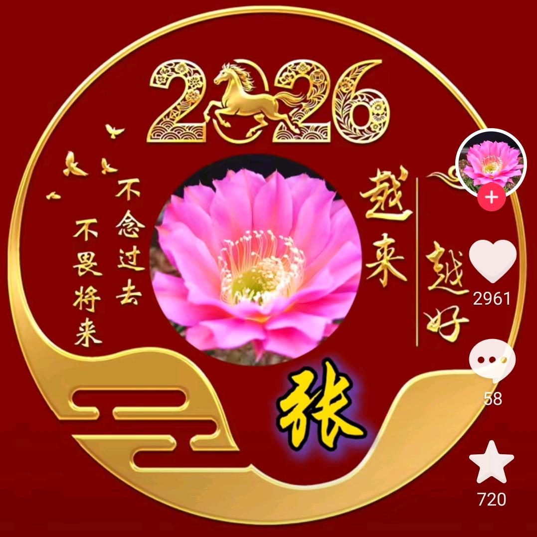 难忘的回忆