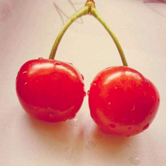 庄爱