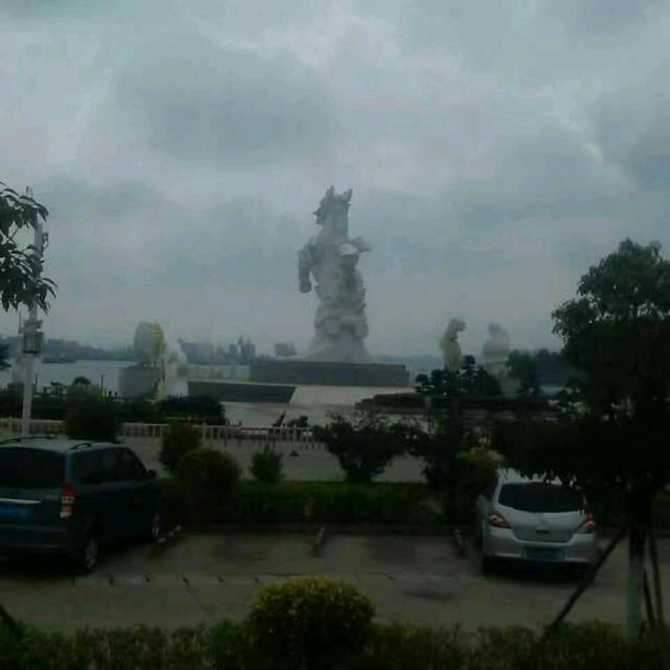 为你独霸