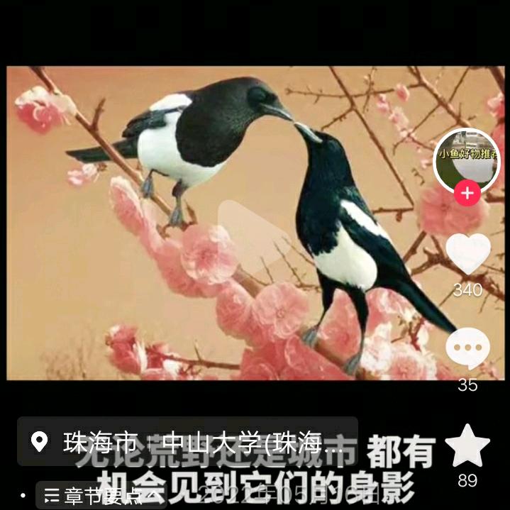 风狂