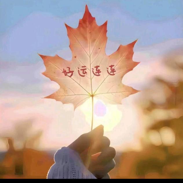 ꧁力꫞꯭菲💞 ꧔ꦿ造꧂型🌹🌹🌺