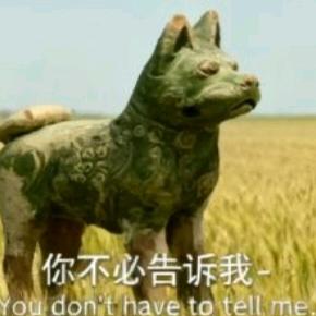 顽石上的胡杨