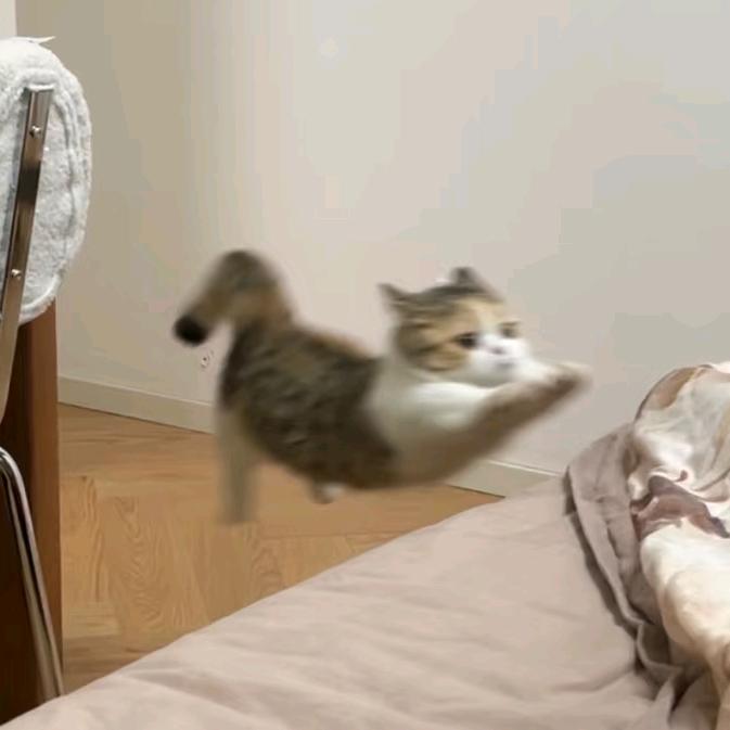 Ctrl+Z