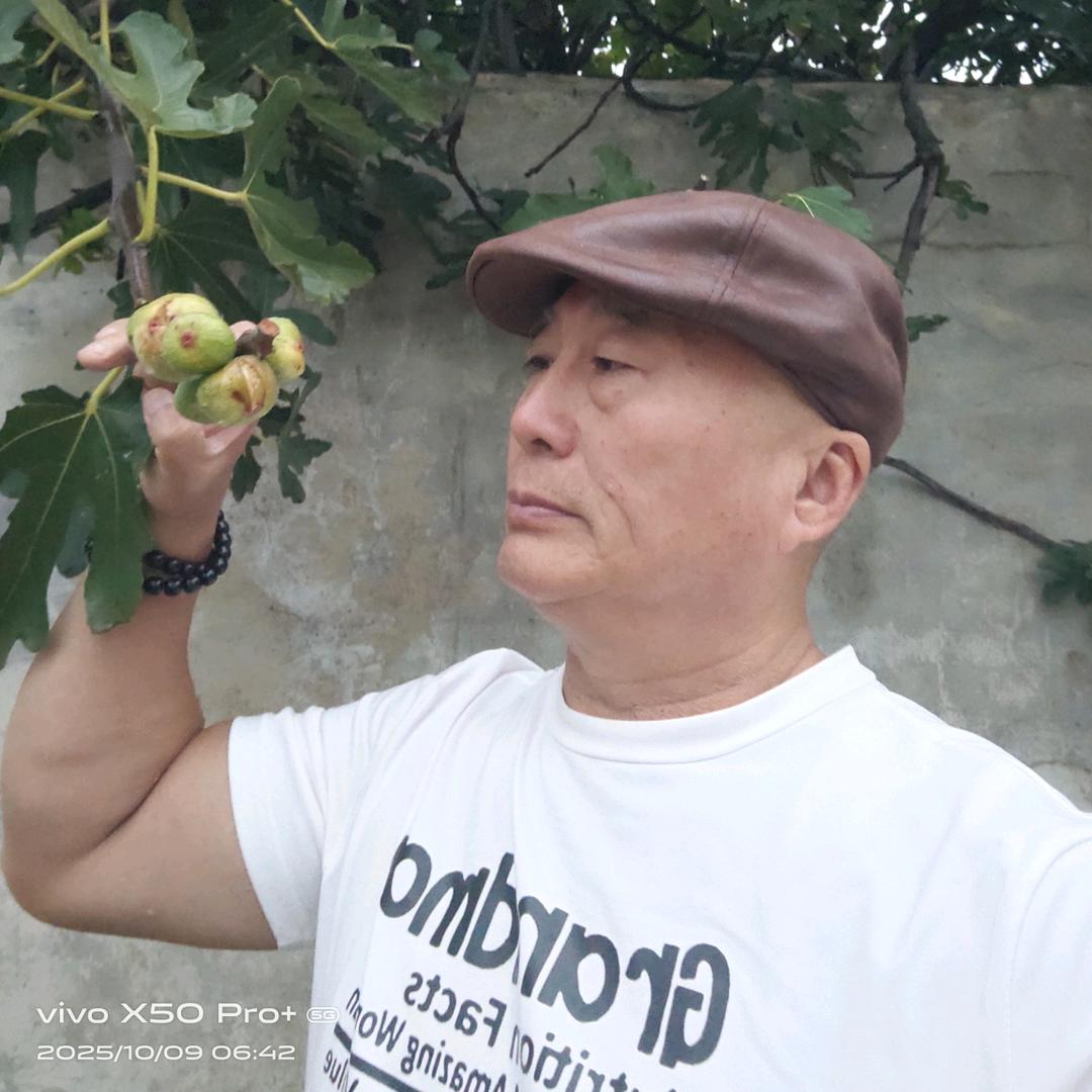 好运来）