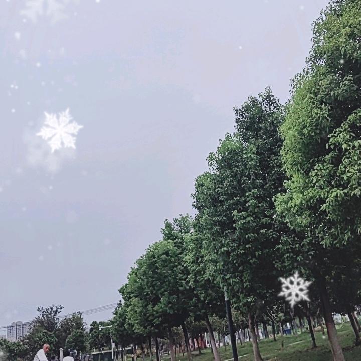小琴的日常生活🐼