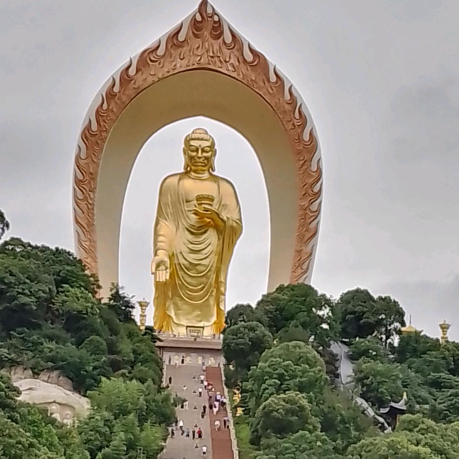 打板客