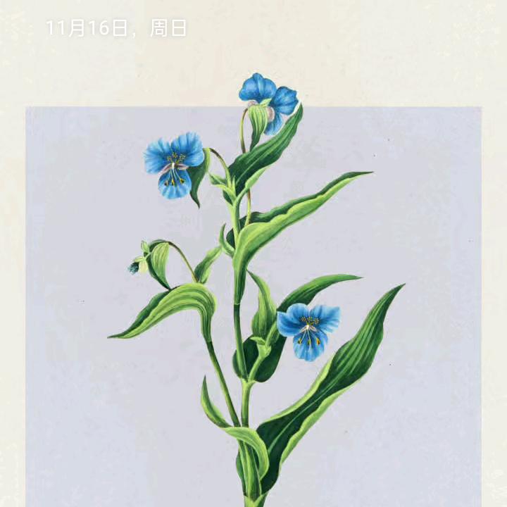 竹海