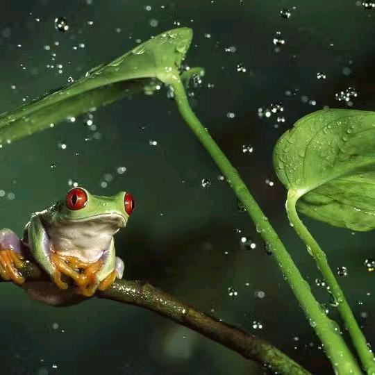 永远明亮