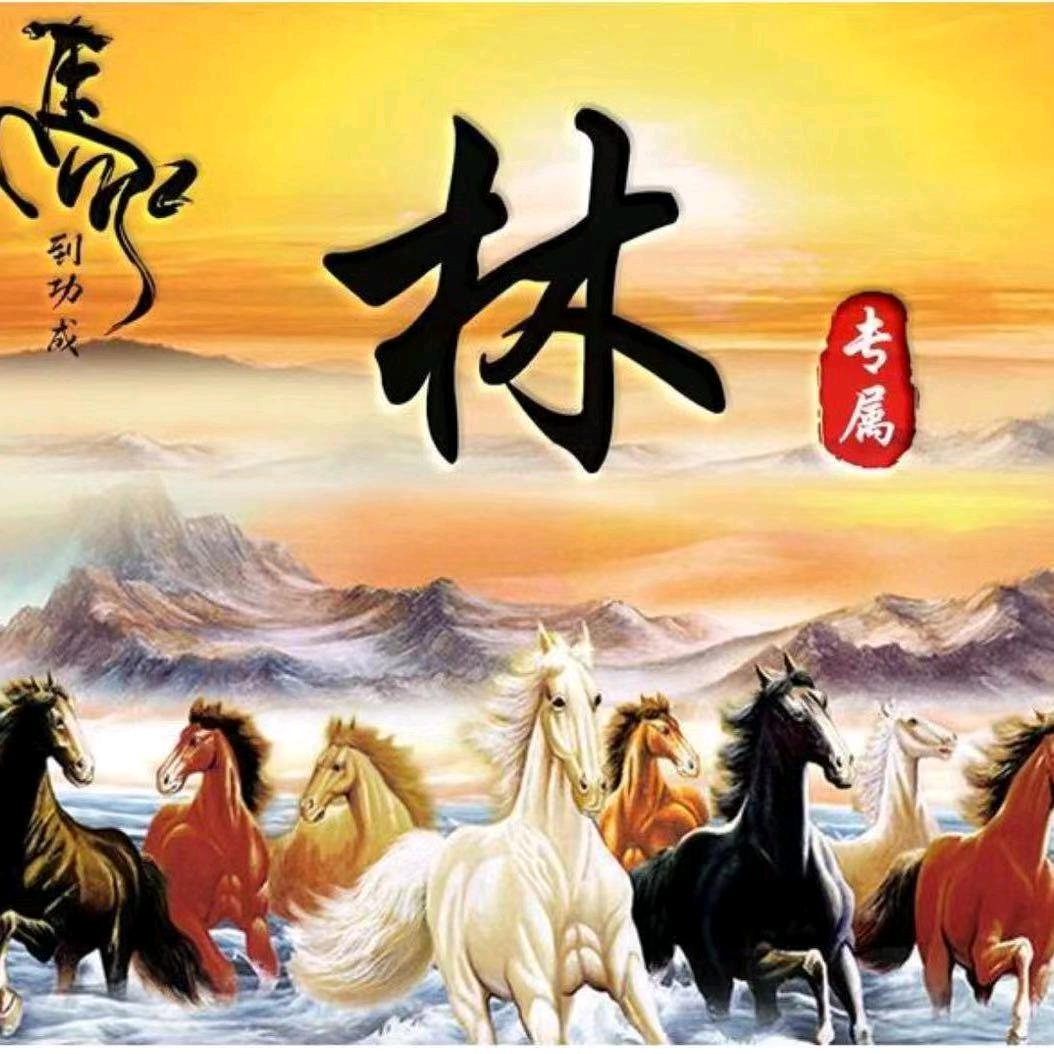 A建材批发林哥（有事打电话）🌈