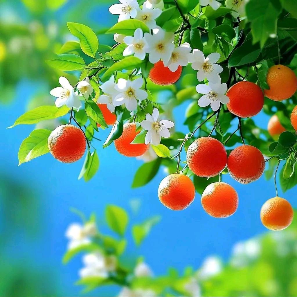 🌾岁🍁月🌺静🌹好