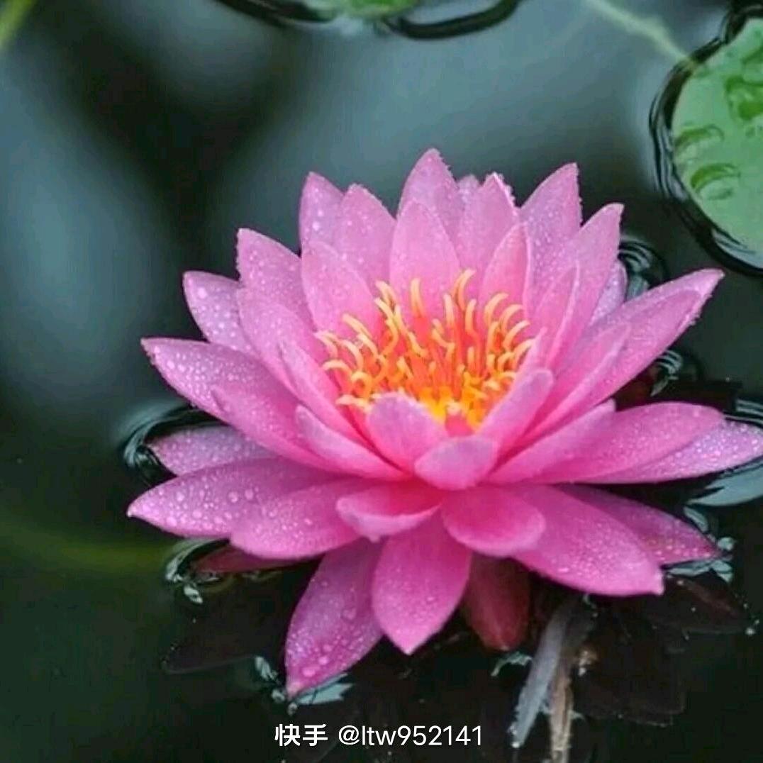 快乐每天