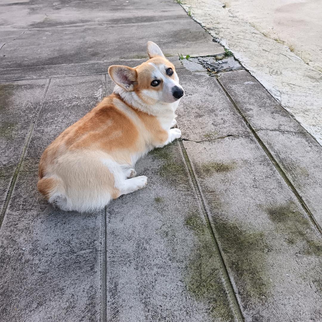 笑囗常开”😆😆😆