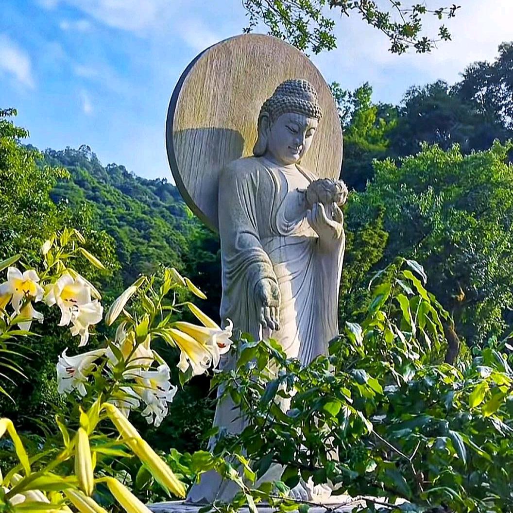 似空非空詹召霞