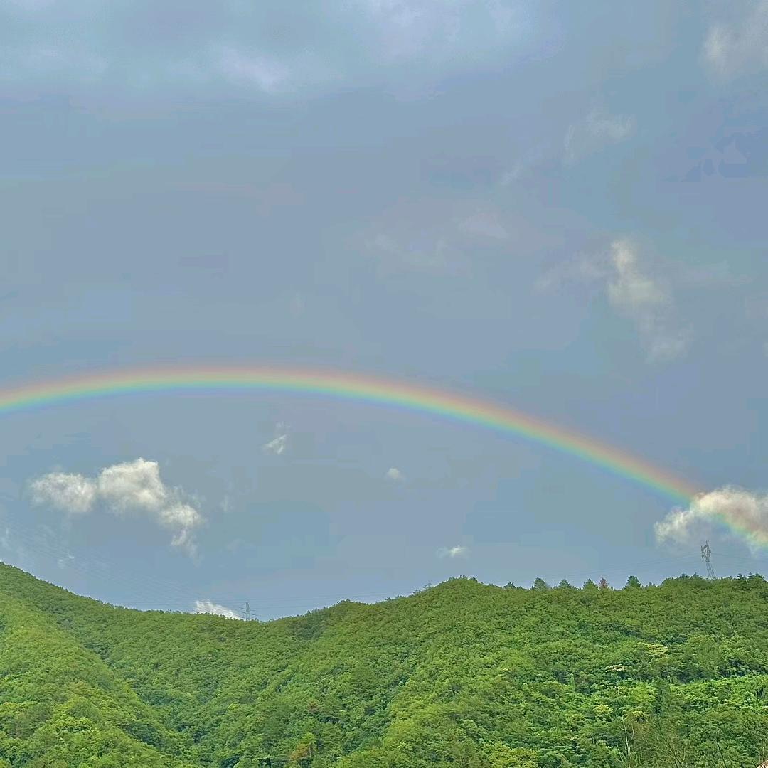 闫涛